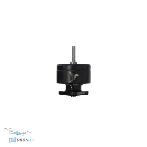 Rear view FPV motor NewBeeDrone Hummingbird RaceSpec 0702 connection details price