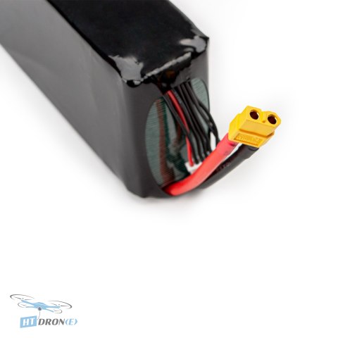 Pilotix Lipo 6S 12000MAH 60C battery rear view and XT60 connector details buy now HTDRONE