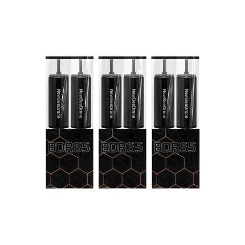 Motor NewBeeDrone BDR BLACK Edition Brushed 6mm (4 pcs)