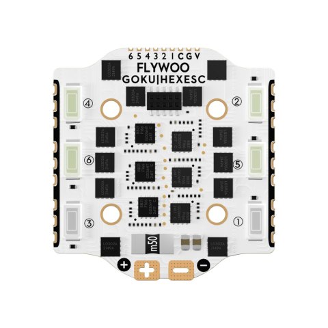 ESC 6-in-1 FLYWOO GOKU HEX BS 20A LED 16x16