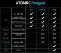 Fixed Wing Plane ATOMRC Penguin RTH