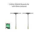 Receiver iFlight True Diversity ELRS 2.4G RX + 2 x 40mm Mini Antenna
