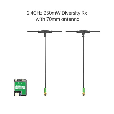 Receiver iFlight True Diversity ELRS 2.4G RX + 2 x 70mm Mini Antenna