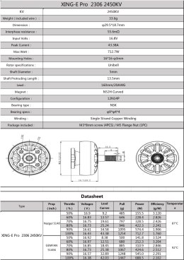 Motor iFlight XING-E Pro 2306 2-6S 2450KV Unibell