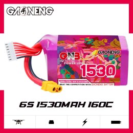 Battery GNB GAONENG 1530mah 6S1P 22.2V 160C XH-JST 7P XT60