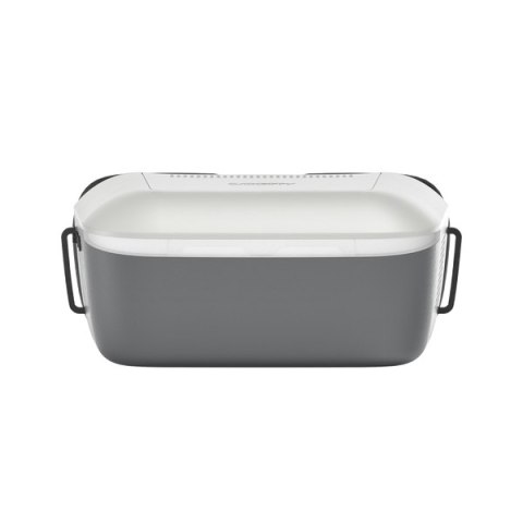 Goggle Walksnail Ascent