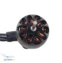Tylny widok silnika IFlight XING 0803 22000KV, szczegóły złącza, cena w HTDRONE