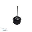 Antena FPV Maple Wireless 4.85-6.3G 2dBi złącze SMA-MALE widok z trzech czwartych najlepsza cena