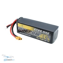DOGCOM Battery DOGCOM 6S 4200mAh 80C JST-XHR XT60 plug