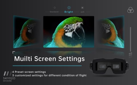 Goggles SKYZONE SKY02O (Black)