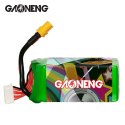 Battery GNB GAONENG LiPo 6S 22.2V 1100mAh 120C XT60