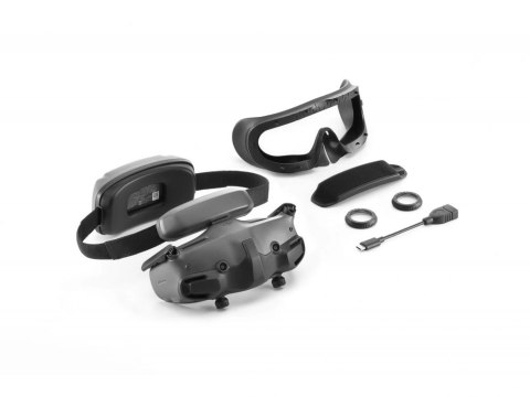 Goggles HD DJI Goggles 3