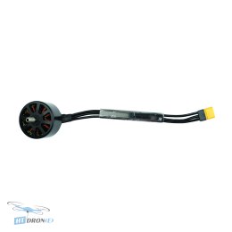 FPV motor Pilotix 3115 900KV three-quarter view at HTDRONE shop
