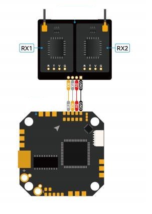 True Diversity RX Adapter Pilotix (5pcs)